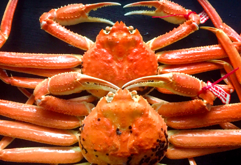 鳥取県産 訳あり蒸し松葉ガニ 600g以上2枚