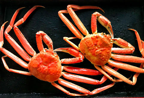 鳥取県産 訳あり蒸し松葉ガニ 700g以上2枚【松葉蟹 松葉ガニ カニ かに 蒸しガニ 訳あり 早期受付 季節限定 カニしゃぶ 山陰 鳥取県 境港産】