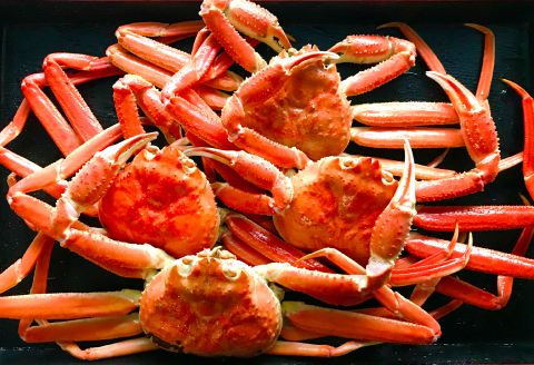 鳥取県産 訳あり蒸し紅ずわいがに 4枚【ズワイガニ ずわいがに 紅ズワイガニ 紅ずわい カニ かに 蒸しガニ 訳あり 早期受付 季節限定 カニしゃぶ 冷蔵配送 お祝い お歳暮 お年賀 プレゼント ゆで蟹 焼きがに ギフト お取り寄せ 山陰 鳥取県 境港産】