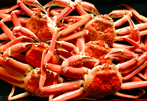 訳あり 紅ずわいがに（5枚～10枚）3kg【ズワイガニ ずわいがに 紅ズワイガニ 紅ずわい カニ かに 蒸しガニ 訳あり 早期受付 季節限定 カニしゃぶ 冷蔵配送 お祝い お歳暮 お年賀 プレゼント ゆで蟹 焼きがに ギフト お取り寄せ 山陰 鳥取県 境港産】