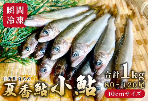 日野川育ちの「夏香鮎」小鮎（約10㎝）瞬間冷凍 1kg