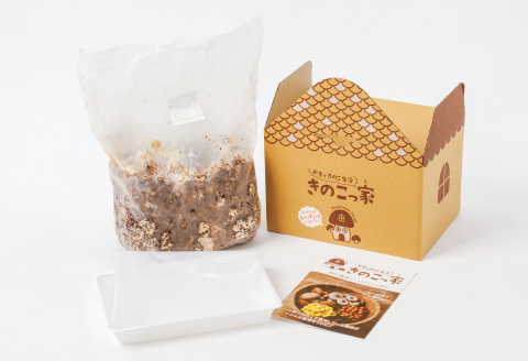 おうちで楽しむ　しいたけ栽培キット　きのこっ家【きのこ しいたけ 栽培 キット 菌床 1個】