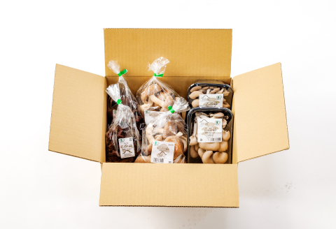 プロが厳選！オーガニックきのこ３種盛り(1kg)【しいたけ きくらげ ひらたけ たもぎたけ なめこ 黒あわびたけ やまぶしたけ おまかせ 厳選】