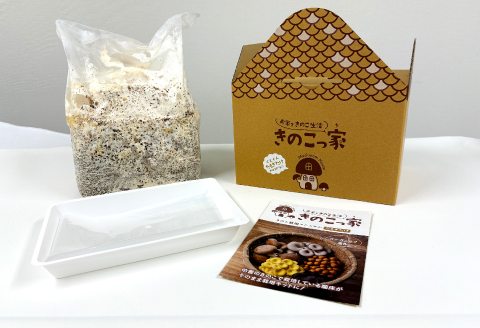 おうちで楽しむ たもぎたけ栽培キット きのこっ家【きのこ たもぎたけ タモギタケ 栽培 キット 菌床 1個 鳥取県 日吉津村】