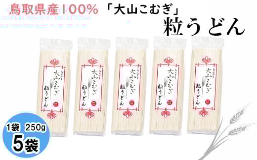 IW06：鳥取県産大山こむぎ粒うどん5袋