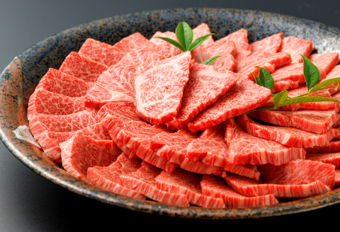 【A5】鳥取和牛肩ロース焼肉 400g【A5等級 肩ロース 焼肉 焼き肉 やきにく 鳥取 和牛 ご自宅用 ギフト 熨斗 プレゼント お取り寄せ グルメ 冷凍】