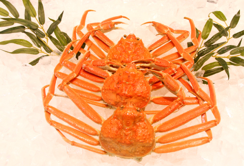 鳥取県産 訳あり松葉ガニ 3枚
