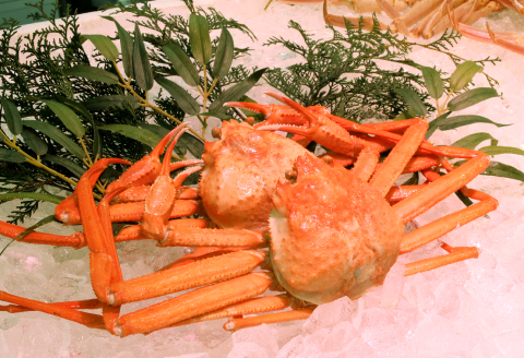 鳥取県産 浜茹で紅ズワイガニA級 2枚