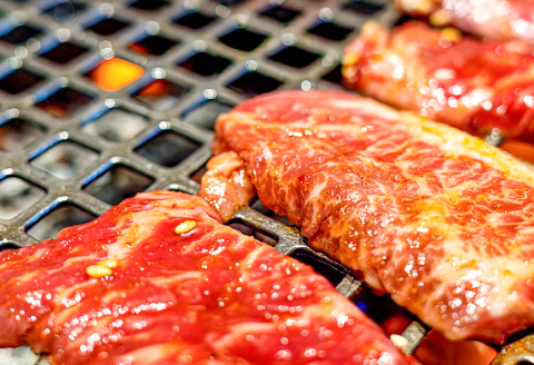 鳥取和牛 クラシタ焼肉用 500g【クラシタ 肩ロース 焼肉 やきにく 牛肉 鳥取 和牛 ご自宅用 お取り寄せ グルメ プレゼント 冷凍 日吉津村】