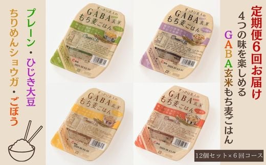【6回定期便】GABA玄米もち麦ごはん4種セット（12パック）