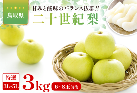 二十世紀梨　特選3kg