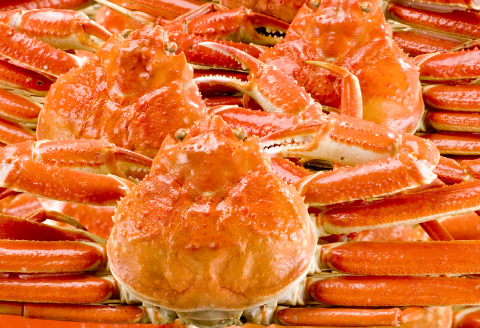 【蒸し】タグ付き松葉ガニ 中 2枚【松葉ガニ 松葉がに 松葉蟹 まつばがに かに カニ 冷蔵 チルド ブランド ズワイガニ 蒸し ボイル タグ付き 国産 季節限定 お取り寄せ お祝い 鳥取県 日吉津村 日本海】