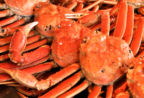 【蒸し】ご自宅用松葉ガニ 中 3枚 【松葉ガニ 松葉がに 松葉蟹 まつばがに かに カニ 冷蔵 チルド ブランド ズワイガニ 蒸し ボイル 自宅用 国産 季節限定 お取り寄せ 鳥取県 日吉津村 日本海】