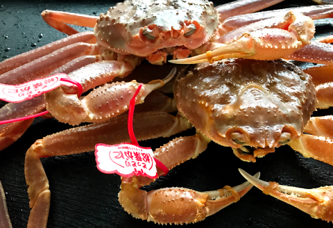 【活き】タグ付き松葉ガニ　中　2枚