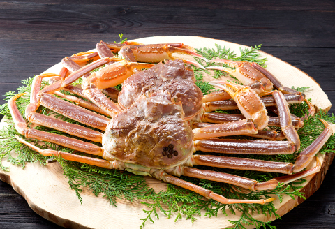 【活き】ご自宅用松葉ガニ　大　１枚