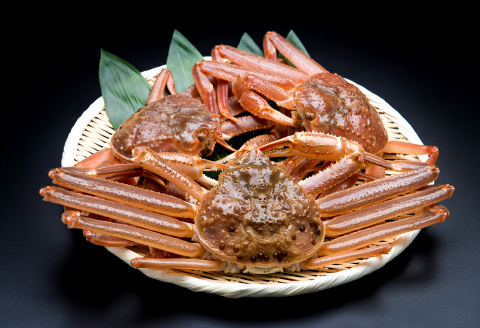 【活き】ご自宅用松葉ガニ　中　3枚