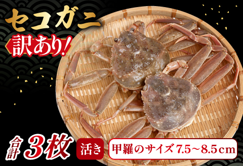 【活き】訳あり足折れご自宅用　日本海産親ガニ（セコガ二） 3枚