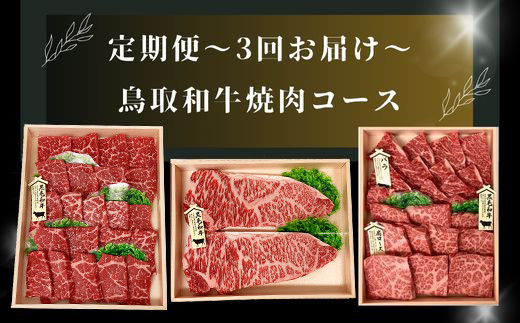 【3回定期便】鳥取和牛 焼肉コース