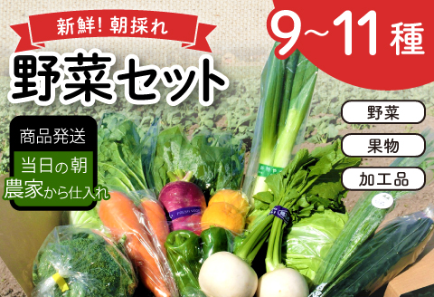 新鮮朝採れ野菜セット【 新鮮野菜 9~11種類 季節 旬 野菜 果物 詰め合せ 国産 おまかせ 葉物 根菜 冷蔵 野菜室 加工品 鳥取県産 季節限定 山菜 加工品】