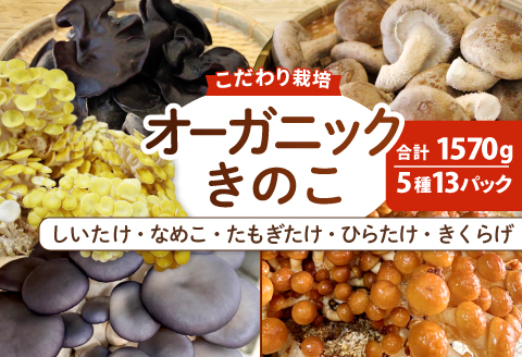 オーガニックきのこバラエティセット約1.5kg（5種13パック入）