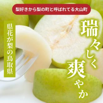 DS-25　訳あり梨10kg