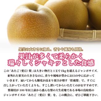 DS-10あたご梨（５ｋｇ）