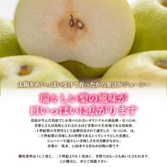 【先行予約】DS-01なつひめ梨（５ｋｇ）