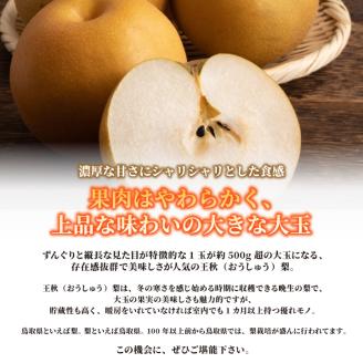 DS-08王秋梨（５ｋｇ）