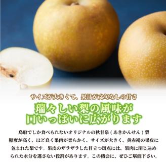 【先行予約】DS-04秋甘泉梨（５ｋｇ）