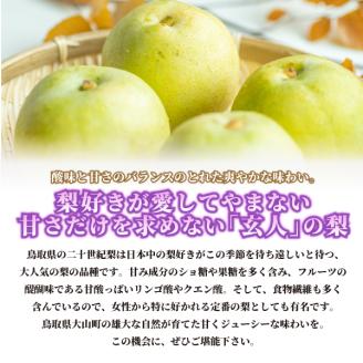 【先行予約】DS-02二十世紀梨（５ｋｇ）