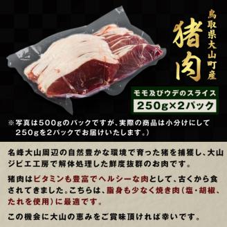 GB-01　猪肉　500g（250g×2パック）