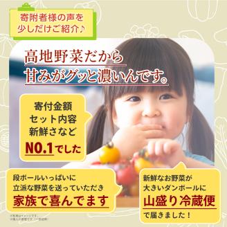 MS-01新鮮朝採れ野菜お手ごろセット