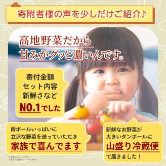 MS-02新鮮朝採れ野菜セット