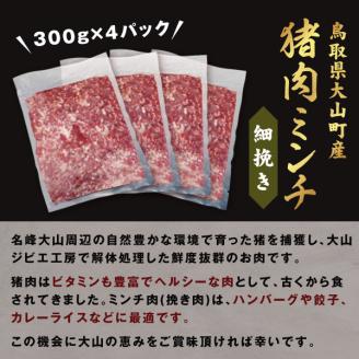 GB-19　猪肉ミンチ（細挽き）1.2kg（300g×4パック）