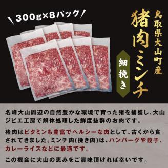 GB-21　猪肉ミンチ（細挽き）2.4kg（300g×8パック）