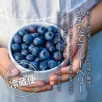 MS-32新鮮生ブルーベリー１ｋｇ（７月採れ）