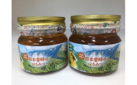 MS-82　大山町産プレミアムはちみつ「日本蜜蜂のはちみつ」（290g×2本）