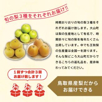 DS-11梨の食べ比べ頒布会