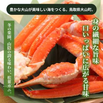 OM-14-2　[冷凍]＜年始お届け＞訳あり松葉ガニ３kg詰め合わせ（冷凍）