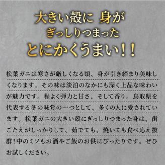 OM-26ブランドタグ付生松葉ガニ（特大約１ｋｇ）