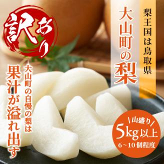 DS-22 訳あり大山町産梨 ５ｋｇ【品種はおまかせ】