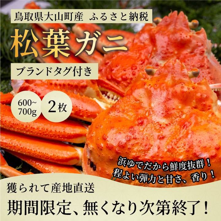 OM-27ブランドタグ付ボイル松葉ガニ（600～700gを2枚）