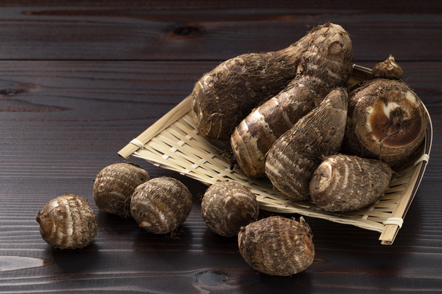 TY-03  大山町産里芋10kg