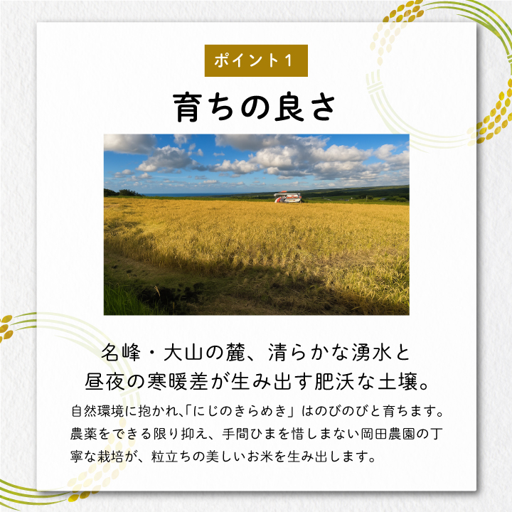 ON-02 大山岡田農園のにじのきらめき10kg