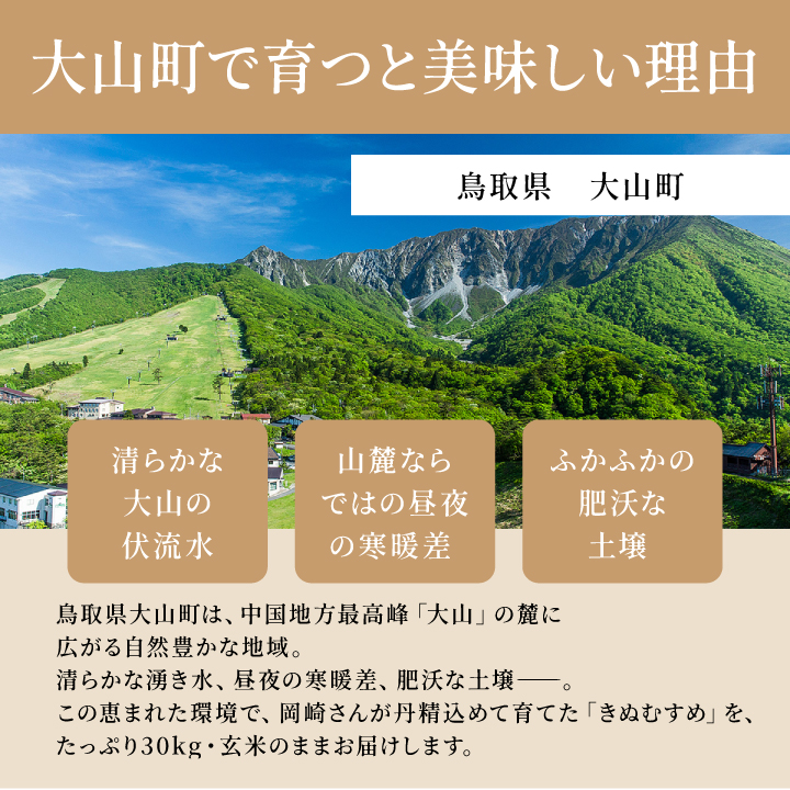 OJ-01 大山の自然が育んだ岡崎さんのきぬむすめ30kg【玄米】