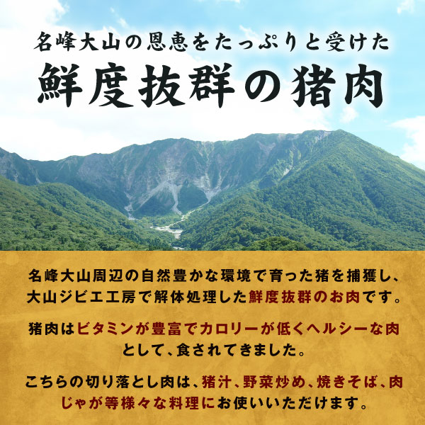 GB-27　大山ジビエイノシシ肉切り落とし1kg