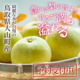 【先行予約】DS-01なつひめ梨（５ｋｇ）