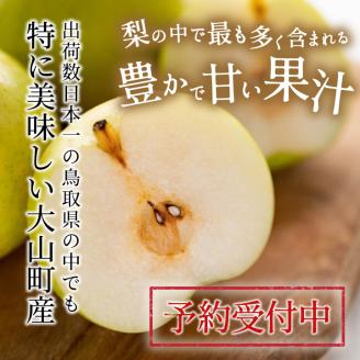 【先行予約】DS-02二十世紀梨（５ｋｇ）