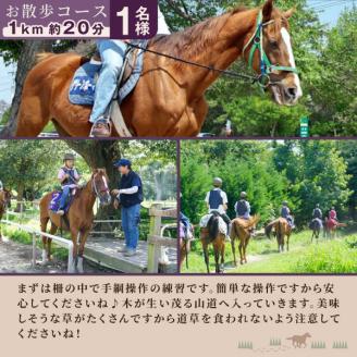 DJ-03　乗馬トレッキング「お散歩コース」ご利用券1名様　★馬のおやつとオリジナルグッズ付き