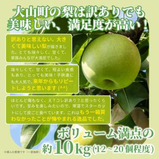 DS-25　訳あり梨10kg
